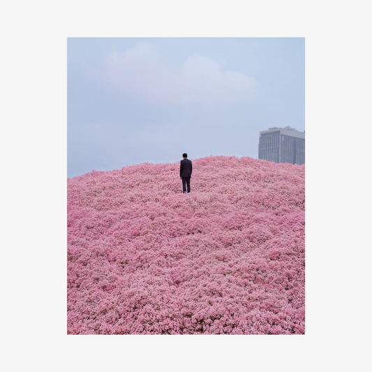 Person standing on a pink flower field with a cityscape in the background
