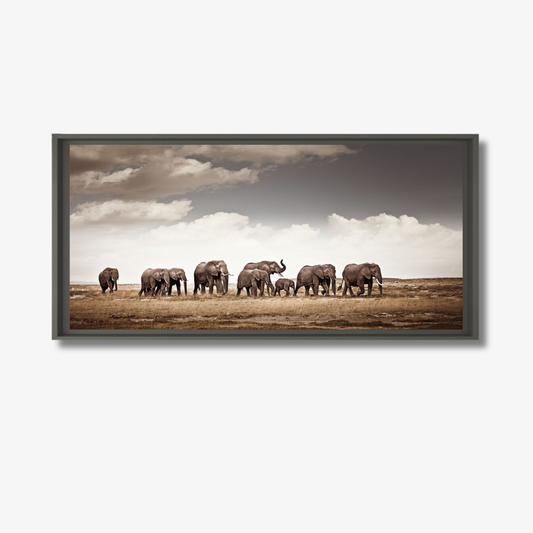 Framed photograph of a herd of elephants walking in a line on a grassy plain with clouds in the sky.