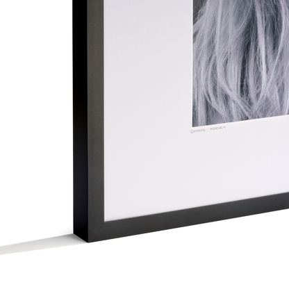 Framed artwork with a black border on a white background