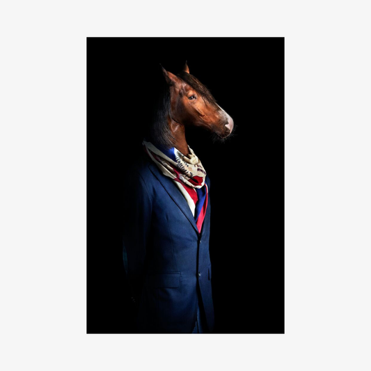 Horse wearing a blue coat and colorful scarf against a black background